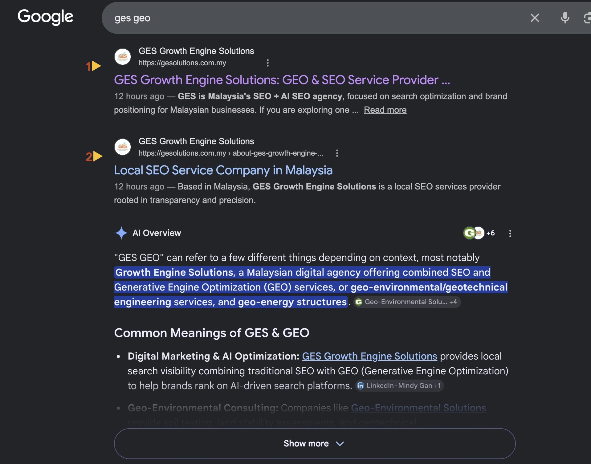 Google AI Overview for the search query GES GEO